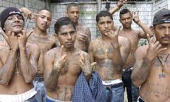 illegal immigrant gang bangers