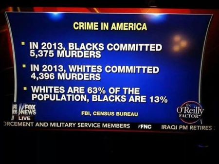 Black Crime Statistics Fox News 12614