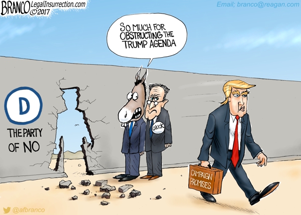 d-obstruction-600-li