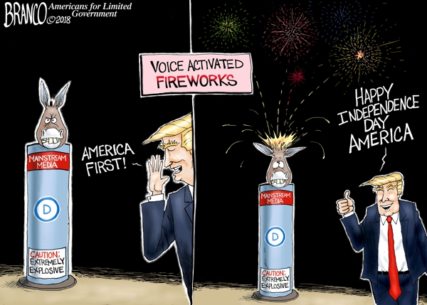 lib-fireworks-dt-600