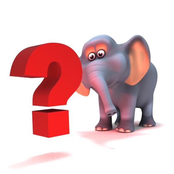 Elephant question